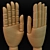 Versatile Wooden Hand Model 3D model small image 2