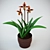 Exotic Winter Bloom Orchid 3D model small image 1