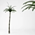 Tropical Paradise Palms 3D model small image 1