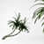 Tropical Paradise Palms 3D model small image 2