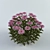 Blossoming Beauties: Chrysanthemums 3D model small image 1