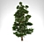  Majestic 10m Pine Tree 3D model small image 1