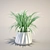 Green Life Spider Plant 3D model small image 1