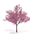 Flowering Dogwood Tree 3D model small image 1