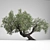 Mediterranean Gold: Olea Europaea 3D model small image 1