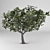 Fresh Fig Harvest: Ficus Carica 3D model small image 1