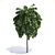 Title: Growth Begins: Sapling 3D model small image 1