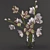 Blooming Beauty: Exquisite Orchids 3D model small image 1