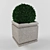 Lush Greenery Bush 3D model small image 1