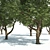 ArchViz Common Tree Pack 3D model small image 3