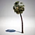 Exterior Palm: Livistona 3D model small image 1