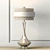 Stylish Orbit-Shade Table Lamp 3D model small image 1