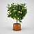 Citrus Bliss Lemon Tree 3D model small image 1