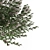 Compact Colorful Willow Bush 3D model small image 2