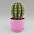 Stylish Cactus Pot Decoration 3D model small image 1