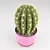 Stylish Cactus Pot Decoration 3D model small image 2