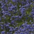 Cornflower Bouquet Set - Exquisite Outdoor Scene Decoration 3D model small image 3