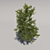 Giant Tree: Geometric Foliage 3D model small image 3