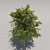 Title: Grand Geometric Foliage Tree 3D model small image 1