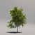 Title: Grand Geometric Foliage Tree 3D model small image 2