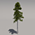 Giant Pine Tree 3D model small image 1