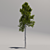 Giant Pine Tree 3D model small image 2