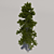 Giant Pine Tree 3D model small image 3