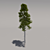 Giant Pine Tree: Second Edition 3D model small image 1