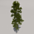 Giant Pine Tree: Second Edition 3D model small image 3