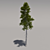 Giant Pine Tree: 3rd Edition 3D model small image 1