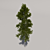 Giant Pine Tree: 3rd Edition 3D model small image 3