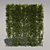 High Trimmed Bush 3D model small image 1