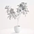 Elegant Ficus Lyrata Plant Accent 3D model small image 2