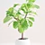 Lush Ficus Lyrata Plant 3D model small image 3