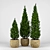 Realistic Thuja Tree 3D Model 3D model small image 1