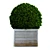 Round Bush 3D Model 3D model small image 1