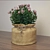 Blooming Delights: Bag of Flowers 3D model small image 1