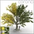 Large Leaf Beech Tree 3D Model 3D model small image 1