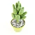 Stonecrop Succulent: Beautiful and Hardy 3D model small image 2