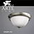 Elegant Stainless Steel Ceiling Light 3D model small image 1