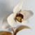 Gilded Floral Wall Art 3D model small image 2