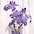 Captivating Dark Purple Irises 3D model small image 2