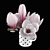 Elegant Magnolia Blossom Cup 3D model small image 2