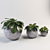 Spherical Plant Vase: Elegant & Large 3D model small image 1