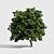 Evergreen Beauty: High-Density Exterior Tree 3D model small image 1