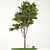 Elegant Tree Print Vol.1 3D model small image 1