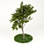 Elegant Tree Print Vol.1 3D model small image 3