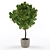 Foliage Paradise: Decorative Houseplant 3D model small image 1