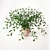 Lush Green Foliage | 3dsMax 2011-Compatible 3D model small image 2