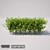 Mini Square Shrub - 120x55x55 3D model small image 1